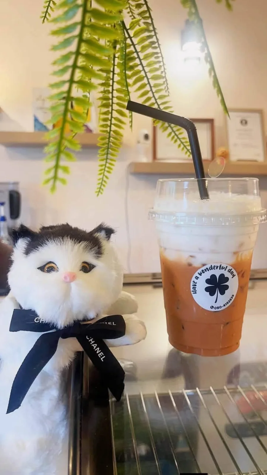 A real PIYA Café drink beside the café cat mascot